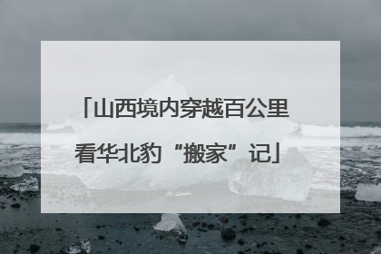 山西境内穿越百公里 看华北豹“搬家”记