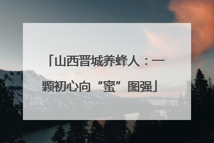 山西晋城养蜂人：一颗初心向“蜜”图强