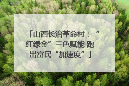 山西长治革命村：“红绿金”三色赋能 跑出富民“加速度”