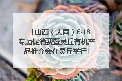 山西（大同）6·18专题促消费暨灵丘有机产品推介会在灵丘举行