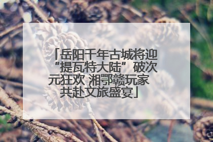 岳阳千年古城将迎“提瓦特大陆”破次元狂欢 湘鄂赣玩家共赴文旅盛宴