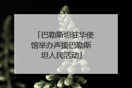 巴勒斯坦驻华使馆举办声援巴勒斯坦人民活动