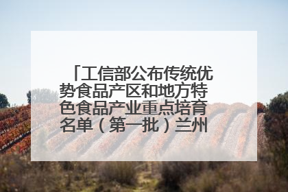 工信部公布传统优势食品产区和地方特色食品产业重点培育名单（第一批）兰州牛肉拉面位列其中