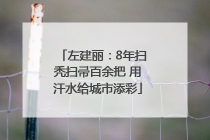 左建丽：8年扫秃扫帚百余把 用汗水给城市添彩