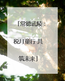常德武陵：税月童行 共筑未来