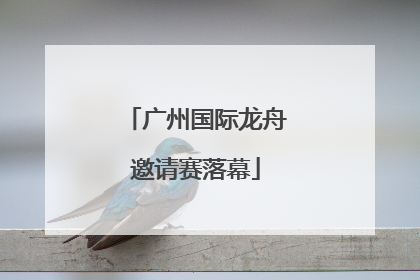 广州国际龙舟邀请赛落幕