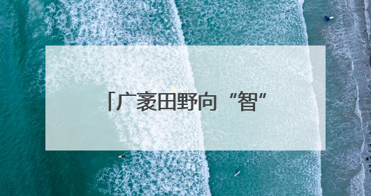 广袤田野向“智”而行绘就“科技兴农”新图景 好“丰”光传递新希望