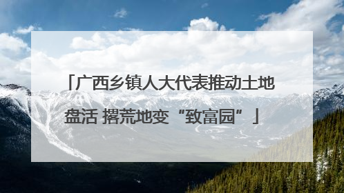 广西乡镇人大代表推动土地盘活 撂荒地变“致富园”