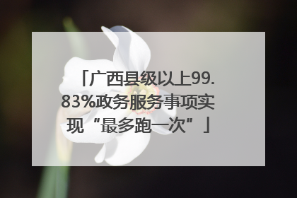 广西县级以上99.83%政务服务事项实现“最多跑一次”