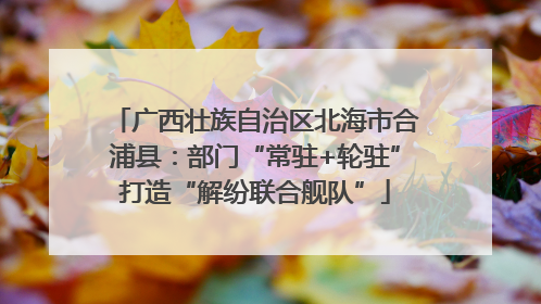 广西壮族自治区北海市合浦县：部门“常驻+轮驻”打造“解纷联合舰队”