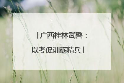 广西桂林武警：以考促训砺精兵