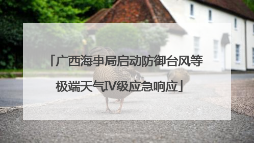 广西海事局启动防御台风等极端天气IV级应急响应