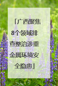 广西聚焦8个领域排查整治涉重金属环境安全隐患