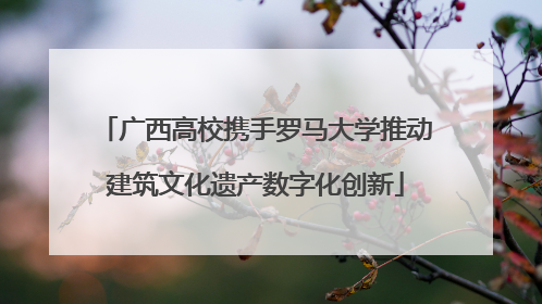 广西高校携手罗马大学推动建筑文化遗产数字化创新