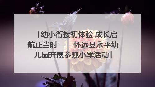幼小衔接初体验 成长启航正当时——怀远县永平幼儿园开展参观小学活动
