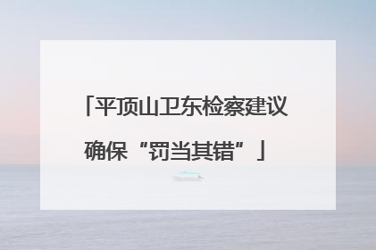 平顶山卫东检察建议确保“罚当其错”
