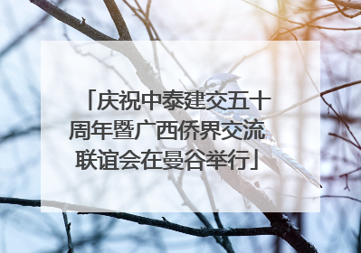 庆祝中泰建交五十周年暨广西侨界交流联谊会在曼谷举行