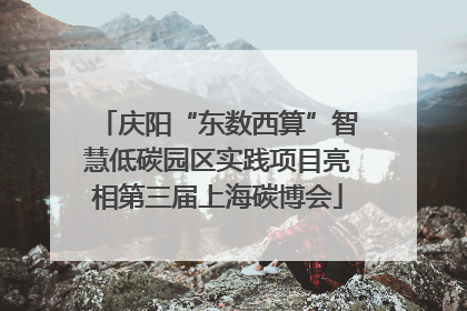 庆阳“东数西算”智慧低碳园区实践项目亮相第三届上海碳博会
