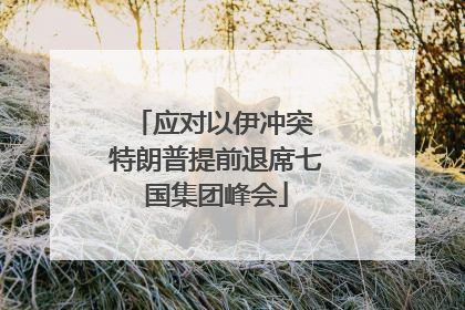 应对以伊冲突 特朗普提前退席七国集团峰会