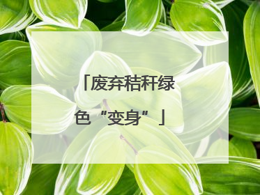 废弃秸秆绿色“变身”