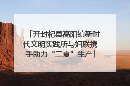 开封杞县高阳镇新时代文明实践所与妇联携手助力“三夏”生产
