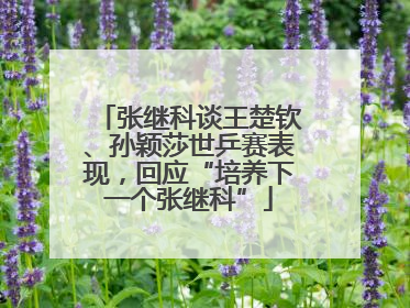 张继科谈王楚钦、孙颖莎世乒赛表现，回应“培养下一个张继科”