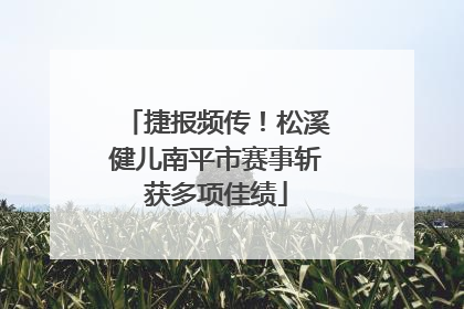 捷报频传！松溪健儿南平市赛事斩获多项佳绩
