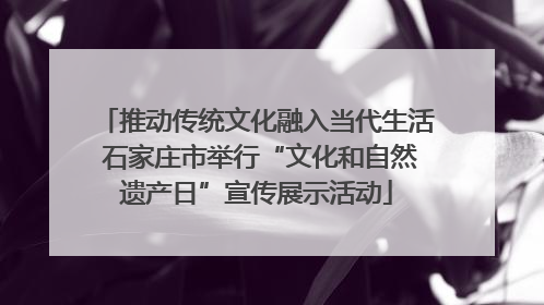 推动传统文化融入当代生活 石家庄市举行“文化和自然遗产日”宣传展示活动