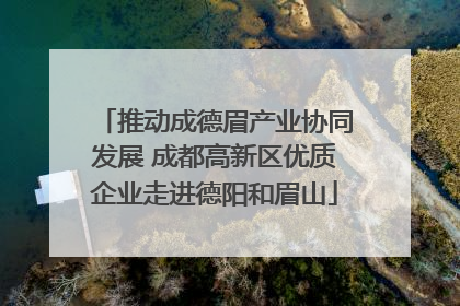 推动成德眉产业协同发展 成都高新区优质企业走进德阳和眉山