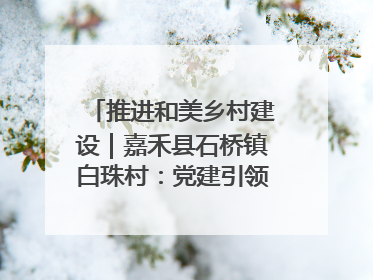 推进和美乡村建设｜嘉禾县石桥镇白珠村：党建引领破“空”局 乡贤聚力绘就新图景