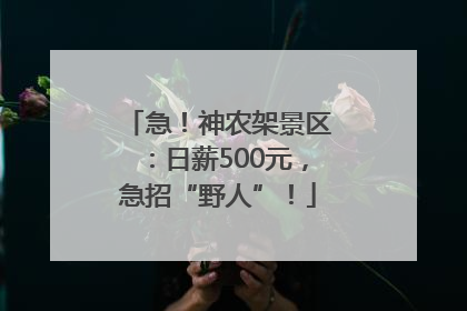 急！神农架景区：日薪500元，急招“野人”！