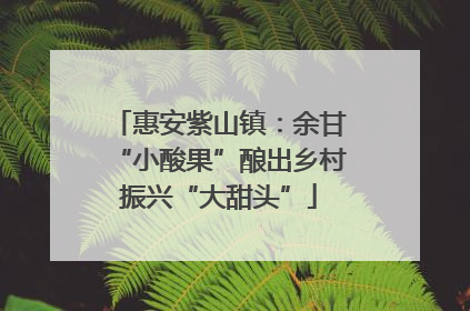 惠安紫山镇：余甘“小酸果”酿出乡村振兴“大甜头”