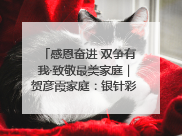 感恩奋进 双争有我·致敬最美家庭｜贺彦霞家庭：银针彩线绣出好日子