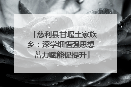 慈利县甘堰土家族乡：深学细悟强思想 蓄力赋能促提升