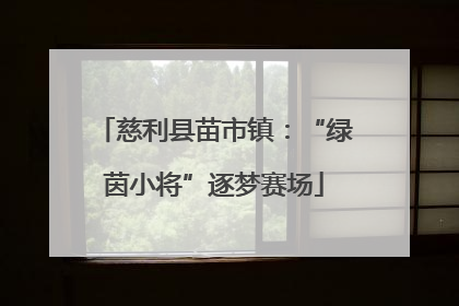 慈利县苗市镇：“绿茵小将”逐梦赛场