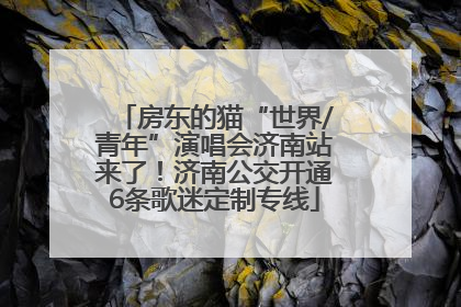 房东的猫“世界/青年”演唱会济南站来了！济南公交开通6条歌迷定制专线