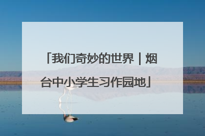 我们奇妙的世界｜烟台中小学生习作园地