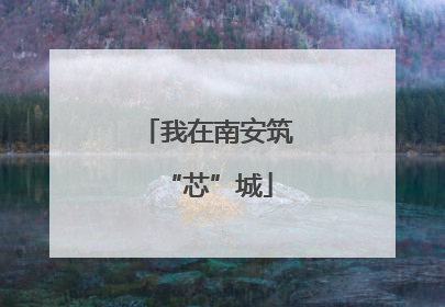 我在南安筑“芯”城