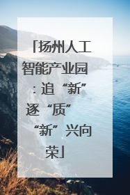 扬州人工智能产业园：追“新”逐“质” “新”兴向荣