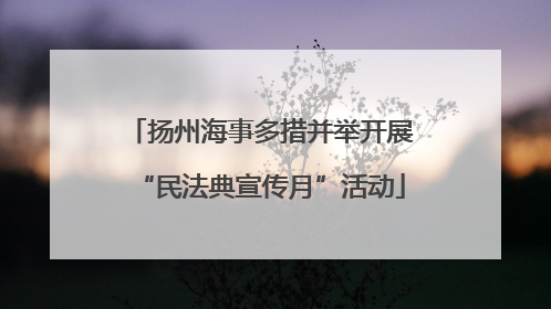 扬州海事多措并举开展“民法典宣传月”活动