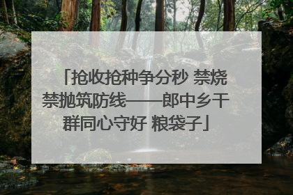 抢收抢种争分秒 禁烧禁抛筑防线——郎中乡干群同心守好 粮袋子