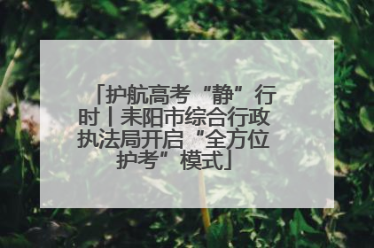 护航高考“静”行时丨耒阳市综合行政执法局开启“全方位护考”模式