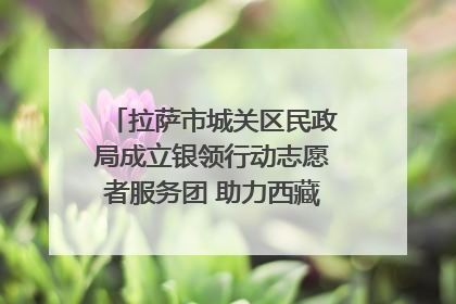 拉萨市城关区民政局成立银领行动志愿者服务团 助力西藏银发经济发展