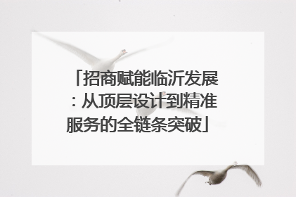 招商赋能临沂发展：从顶层设计到精准服务的全链条突破