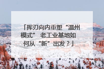 挥刃向内重塑“温州模式” 老工业基地如何从“新”出发？
