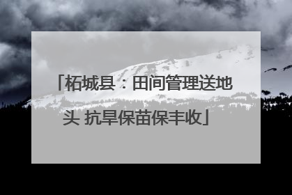 柘城县：田间管理送地头 抗旱保苗保丰收