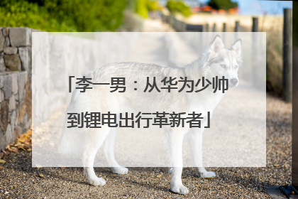 李一男：从华为少帅到锂电出行革新者
