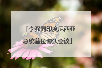 李强同印度尼西亚总统普拉博沃会谈