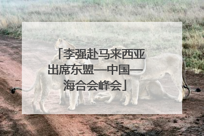 李强赴马来西亚出席东盟—中国—海合会峰会