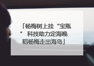 杨梅树上挂“宝瓶” 科技助力定海晚稻杨梅走出海岛